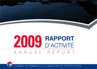  le rapport d'activit�s
