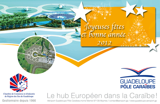 Joyeuses Fetes et bonne ann�e 2012 - Happy New Year 2012