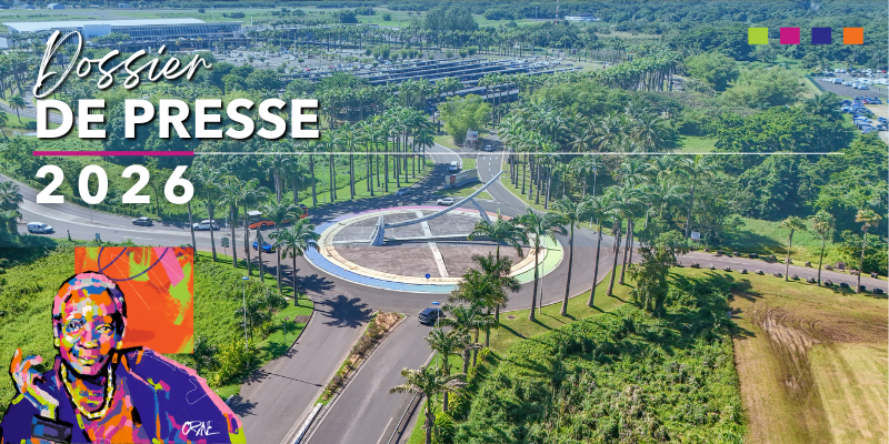 Aéroport Guadeloupe Maryse